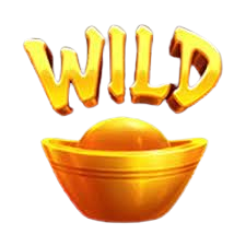 logo COPTOTO